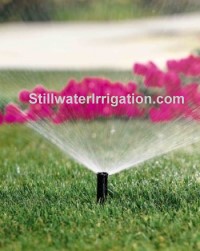 keep your lawn and landscape beautiful with a properly functioning sprinkler system